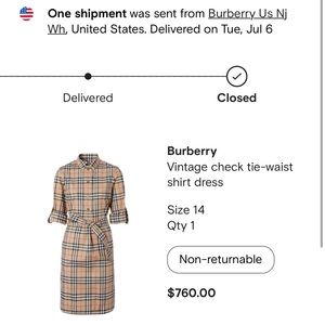 Burberry Dress